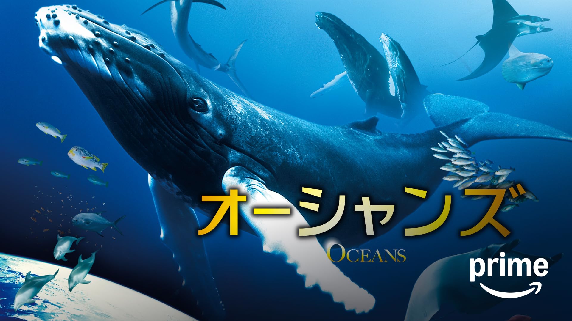 Amazon.co.jp: 天空からの招待状を観る | Prime Video